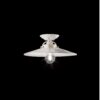 Ferroluce BW   plafoniera C10405