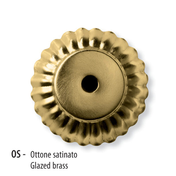 OS