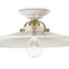 Plafoniera 1 luce Asti Ferroluce C105