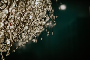 anita jeanine photography DUA3oW70SaA unsplash scaled