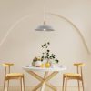 BeLight Portland pendant lamp  BL305-S1-MX-AMB
